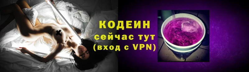 где купить наркотик  Новомичуринск  Кодеин Purple Drank 