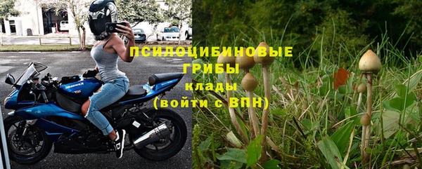 винт Нея