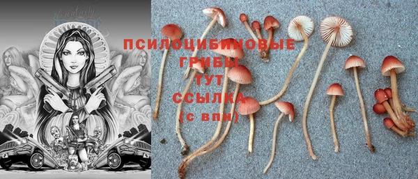 a pvp Нефтегорск