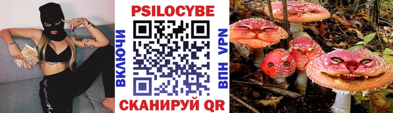 Псилоцибиновые грибы Psilocybine cubensis Новомичуринск